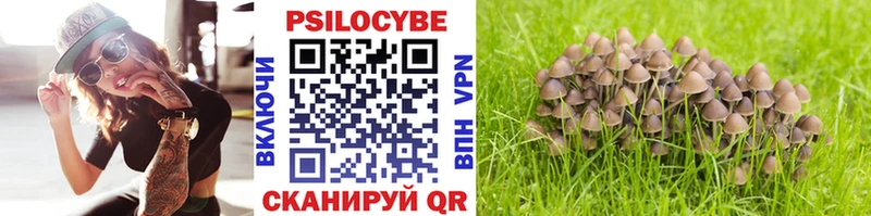 Псилоцибиновые грибы Magic Shrooms  Богучар 