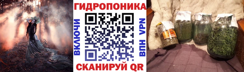 хочу   Богучар  Конопля план 